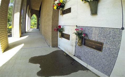 Sometimes Mausoleums Leak. Here’s an explanation。